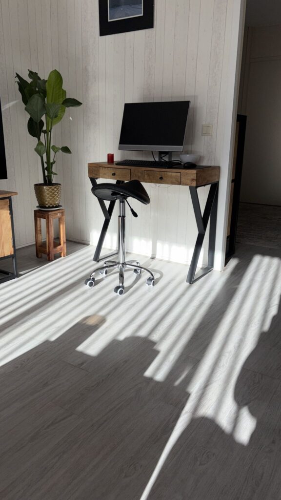 Zadelkruk ErgoBalance impressie 1